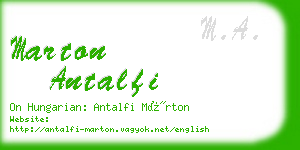 marton antalfi business card